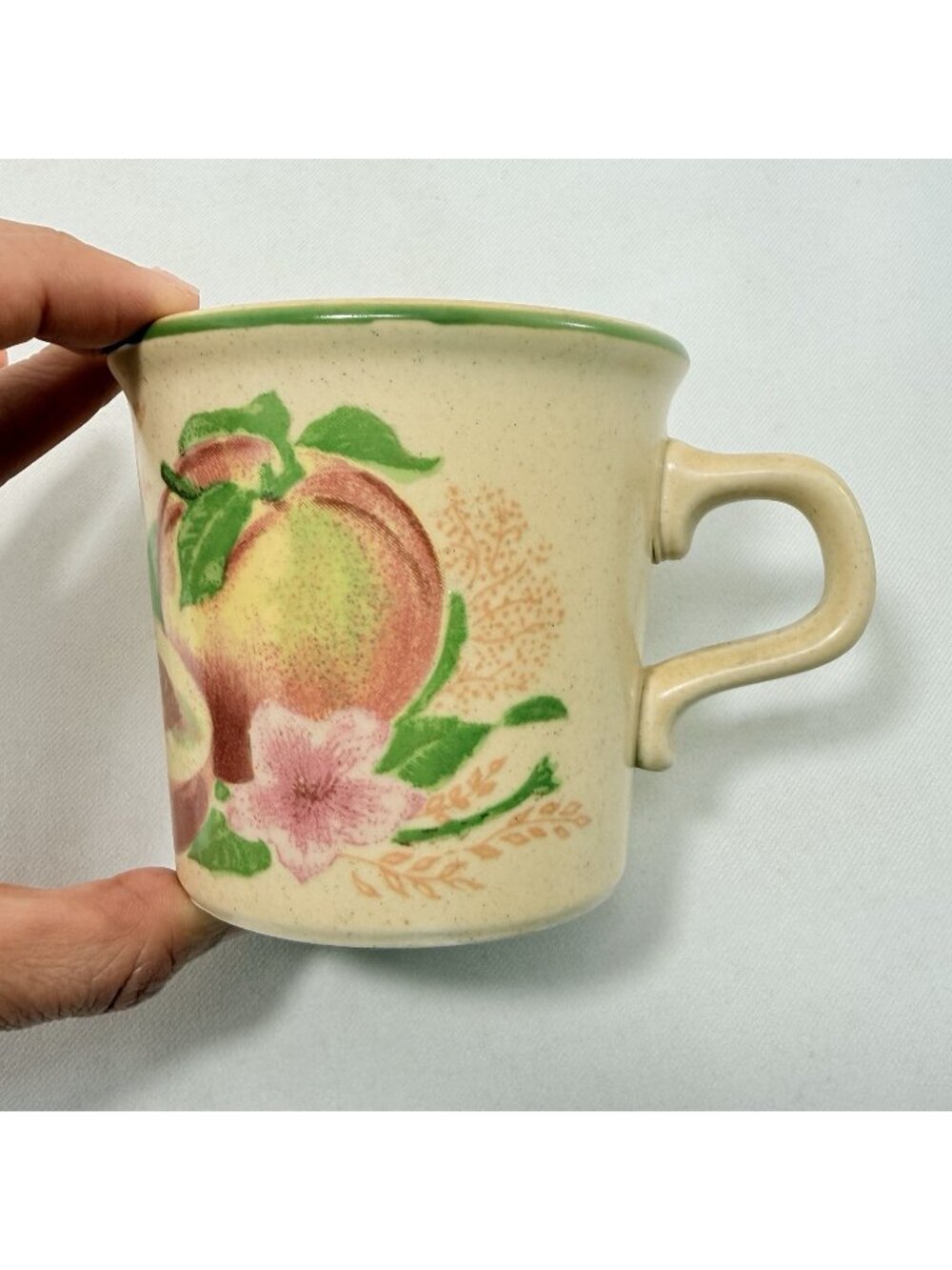Vintage Taylor USA Mug Country Countryside Plum Fruit Peach Farmhouse Harvest